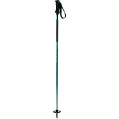Elan Ripstick Rod W Stavar