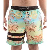 Hurley Phntm Eco Block Party Volley 17´´ Simshorts