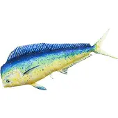 Gaby Den Gigantiska Mahi Mahi-kudden