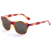Ocean Sunglasses Landas Polariserade Solglasögon