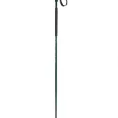 Elan Ripstick Rod Stavar