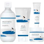 Round Lab Birch Juice Moisturizing Sunscreen Solkräm 50 ml