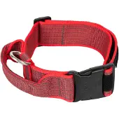 JULIUS K-9 Collar 50 Mm Hundhalsband