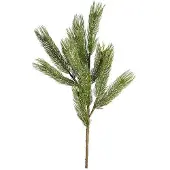 Newport Forrest tallkvist grön