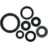 Moose Hard-parts Kawasaki Klx400/suzuki Drz400 Oljetätningssats