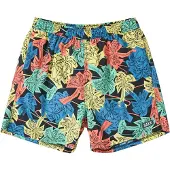 Saxx Go Coastal 5´´ Simshorts