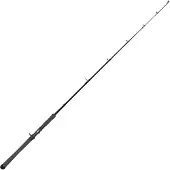 Maximus Rods Warrior Baitcastingspö