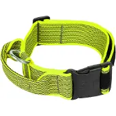 JULIUS K-9 Collar 50 Mm Hundhalsband