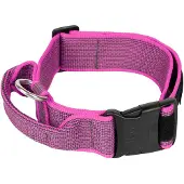 JULIUS K-9 Collar 40 Mm Hundhalsband