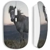 CAPACHEAP Souris Sans Fil cheval herbe