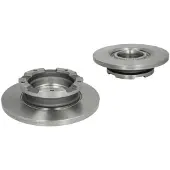 Delphi Bromsskivor BG4008 bak, full, 2 Stycke