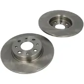 Delphi Bromsskivor BG4312 bak, full, 2 Stycke