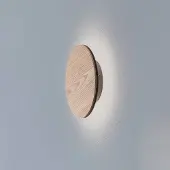 Argon Vägglampa Orios , Ljust trä, Vardagsrum / matsal, Trä, Modern, Vägglampa, vägglampa inomhus