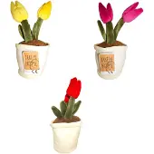 Pocket Money Take Me Home - Plant Plush Tulip