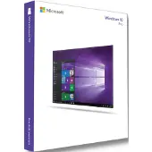 Microsoft Windows 10 Pro (OEM)
