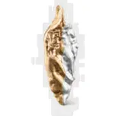 Kalevala Koru Itu örhängen frö förgyllt silver 261001401T
