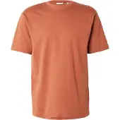 Only & Sons T-shirt 'ONSFred' roströd