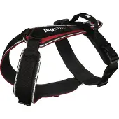 Julius-K9 Speed Hundsele