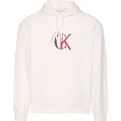 Calvin Klein Jeans Eu 350 Terry Graphic Huvtröja