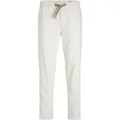 Jack & Jones Ace Quinn Jeans