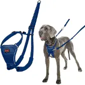 Halti No Pull Hundsele