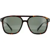 Polaroid Aviator Herr Dark Havana Green Polarized