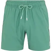 BOSS Iconic 10239741 01 Simshorts