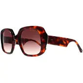 Ted Baker Square Dam Sköldpadda Brun Gradient TB1730 Catrina