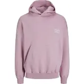 Jack & Jones Santorini Graphic Tröja Med Huva