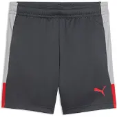 Puma Individualliga Football Training Shorts Youth, storlek 140 cm