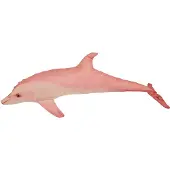 Energoteam Dolphin Kudde