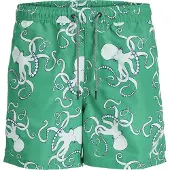 Jack & Jones Fiji Aop Simshorts