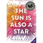 The Sun Is Also a Star