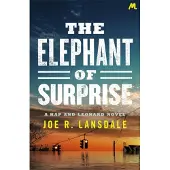 The Elephant of Surprise