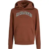 Jack & Jones Caleb Varsity Huvtröja