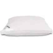 Zen Sleep Dunfiberkudde - Allergivänlig huvudkudde - 60x63 cm - Mellan -