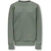 Only & Sons Junior Sweatshirt 'OSJCeres' ljusgrön