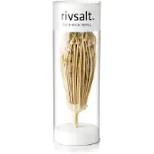 Bayer Refill TOOTHPICK