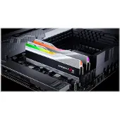 G.Skill Trident Z5 RGB - DDR5 - sats - 32 GB: 2 x 16 GB - DIMM 288-pin - 6400 MHz / PC5-51200 - CL32 - 1.4 V - ej buffrad - icke ECC - silver-metallic