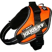JULIUS K-9 Idc Power Mini Hundsele