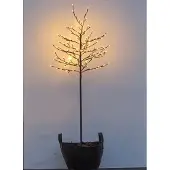 Sirius Noah träd, 280 LED, H 1,8 meter