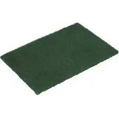 Multi Skursvamp i nylon för hand 16x21 cm grön, 10 pk x 10 st/krt