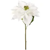 Newport Julstjärna snittblomma vit