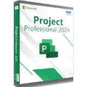 Microsoft Project 2024 Professional (PC)