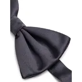 Dolce&Gabbana Klassisk Silkesflugsvans