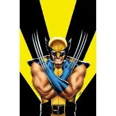 Return Of Wolverine Omnibus
