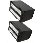 Cameron Sino Batteri till Kamera för Panasonic NV-DX100