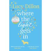 Where the Light Gets In