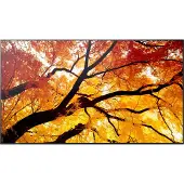 Sharp MultiSync M432 informationsskärm 42.5" 4K UHD 550 cd/m² 24/7
