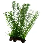 Hobby Flora Root 2 L 30cm 30cm